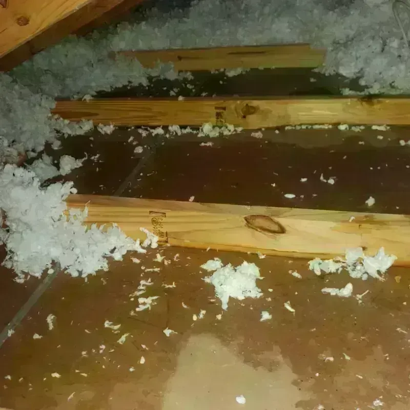 Attic Water Damage in Ocean View, DE